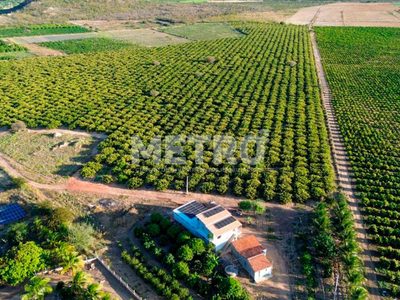 Fazenda - Foto 1