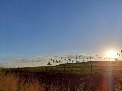 Fazenda, 1210 hectares - Foto 2