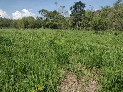 Fazenda, 150 m² - Foto 5