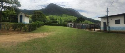 Fazenda, 387 hectares - Foto 1