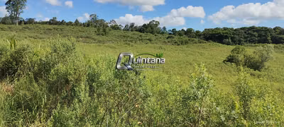 Sítio, 1 quarto, 10 hectares - Foto 3