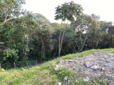 Terreno, 622 m² - Foto 3