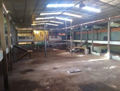 Depósito-Galpão - Foto 1