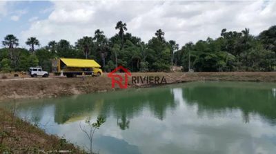 Terreno, 8 hectares - Foto 3