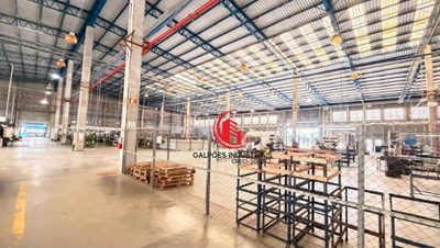 Depósito-Galpão, 12000 m² - Foto 5