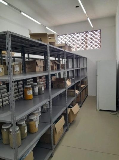 Depósito-Galpão, 575 m² - Foto 3