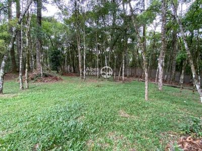 Terreno, 360 m² - Foto 4
