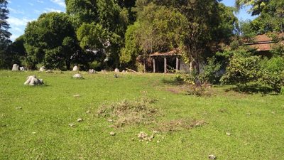 Terreno, 5000 m² - Foto 3