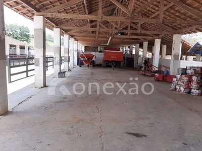 Fazenda, 250 m² - Foto 1
