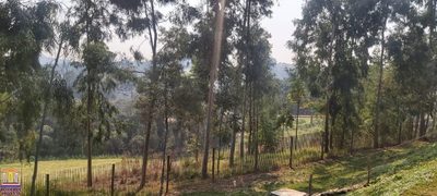 Terreno, 2 hectares - Foto 5