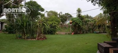 Casa, 3 quartos, 2700 m² - Foto 4