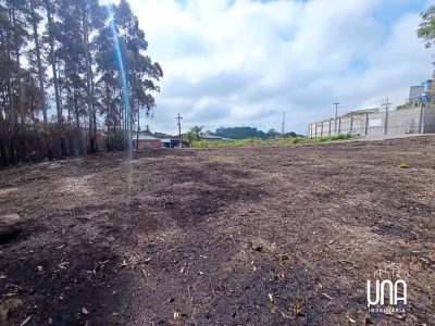 Terreno, 2071 m² - Foto 2