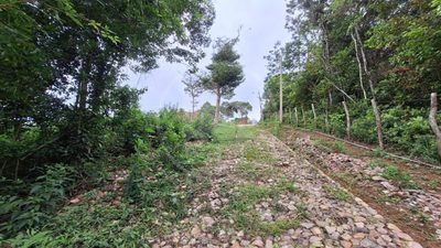 Terreno, 1740 m² - Foto 4