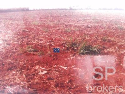Terreno, 2 hectares - Foto 3