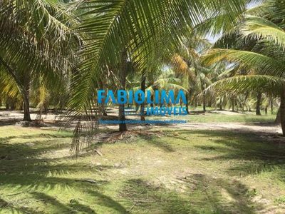 Terreno, 2 hectares - Foto 4