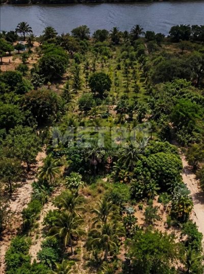 Fazenda - Foto 1