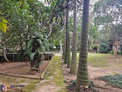 Terreno, 1775 m² - Foto 4