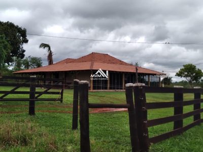 Chácara, 50 hectares - Foto 2