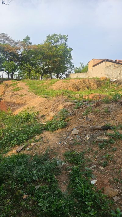 Terreno, 600 m² - Foto 5