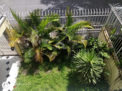 Casa, 6 quartos, 293 m² - Foto 2