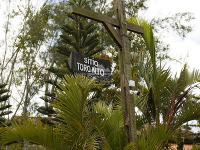 Casa, 4 quartos, 515 m² - Foto 3