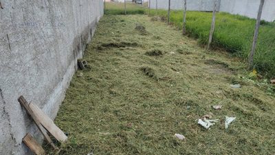 Terreno, 125 m² - Foto 3