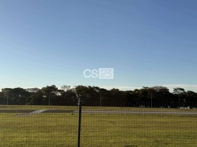 Terreno, 1003 m² - Foto 4