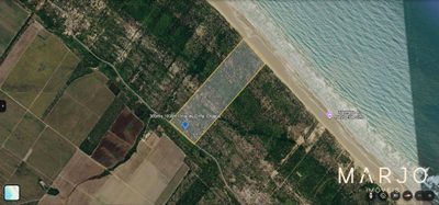 Terreno, 30 hectares - Foto 3