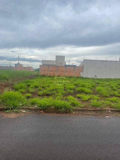 Terreno, 200 m² - Foto 4
