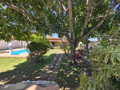 Apartamento, 4 quartos, 100 m² - Foto 5