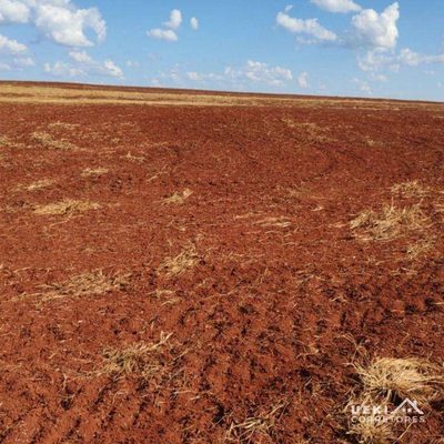 Fazenda, 104 hectares - Foto 3