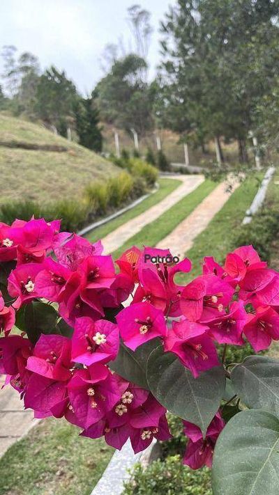 Chácara, 3 quartos, 1573 m² - Foto 3