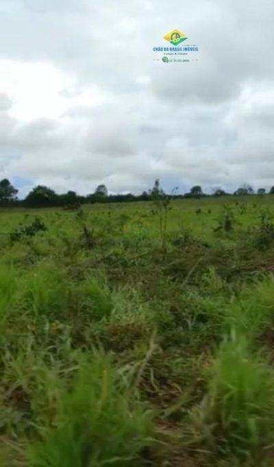 Fazenda, 2 quartos - Foto 5