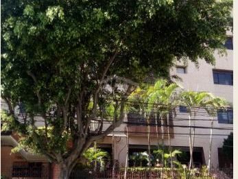 Apartamento, 3 quartos, 149 m² - Foto 1