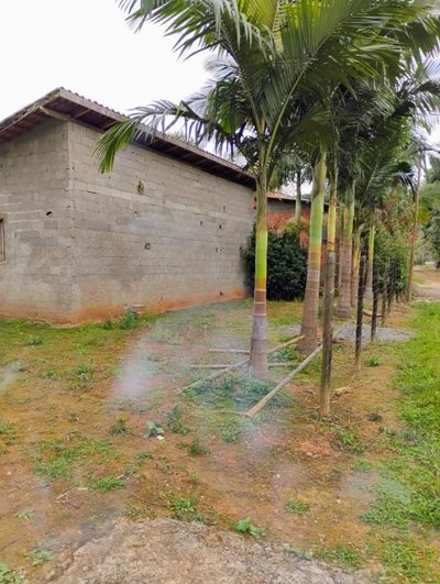 Casa, 2000 m² - Foto 3