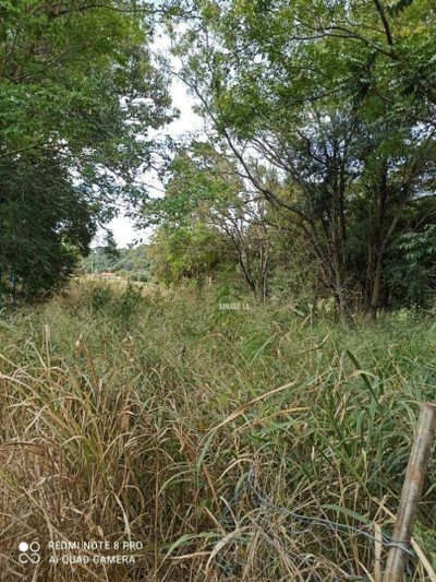 Terreno, 1000 m² - Foto 3