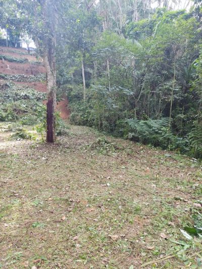 Terreno, 2240 m² - Foto 3
