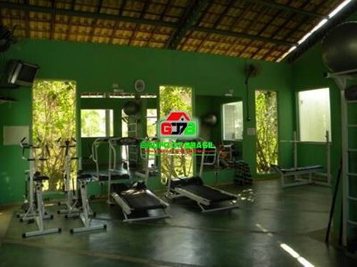 Terreno, 13 hectares - Foto 4