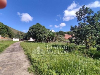 Chácara, 3 quartos, 4927 m² - Foto 3