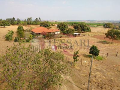 Sítio, 16 hectares - Foto 4