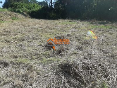 Terreno, 5000 m² - Foto 3