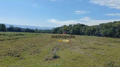 Chácara, 4 quartos, 66 hectares - Foto 2