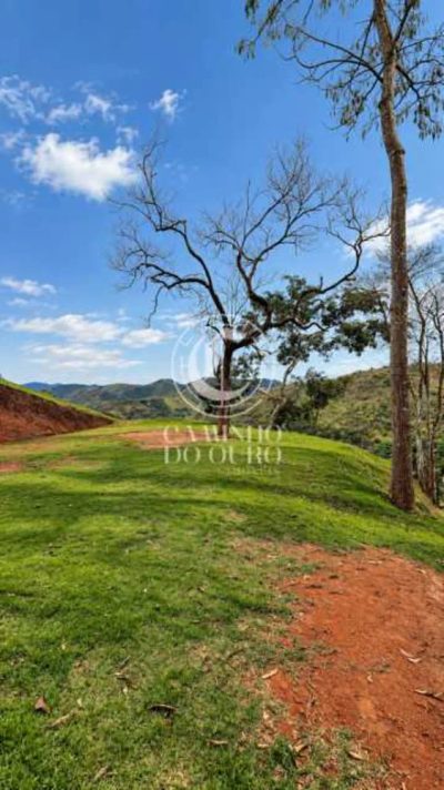 Terreno, 5000 m² - Foto 1
