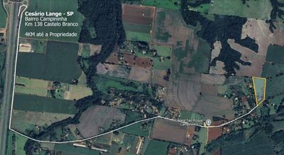 Chácara, 3 quartos, 3 hectares - Foto 2