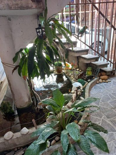 Casa, 3 quartos, 225 m² - Foto 5