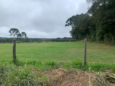 Terreno, 4 hectares - Foto 4