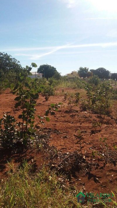 Terreno, 1000 m² - Foto 4