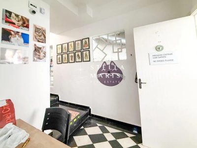 Casa, 6 quartos, 425 m² - Foto 4