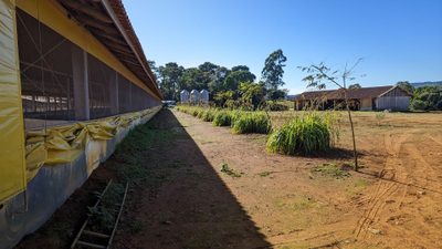 Terreno, 2 hectares - Foto 2