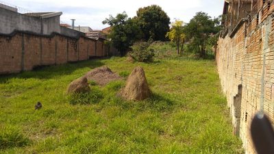 Terreno, 364 m² - Foto 3